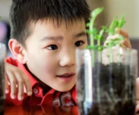 A shot of an Asian boy watching the growth of his plant as part of the science project