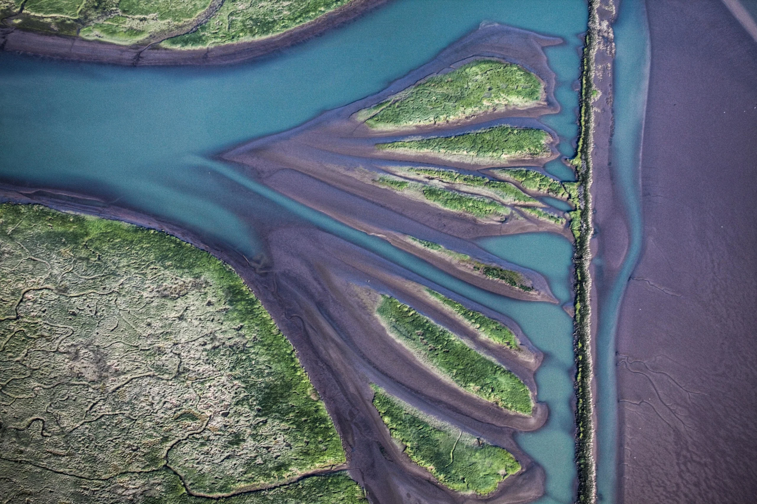 Alaksen National Wildlife Area, Westham Island, Delta, British Columbia, Canada.