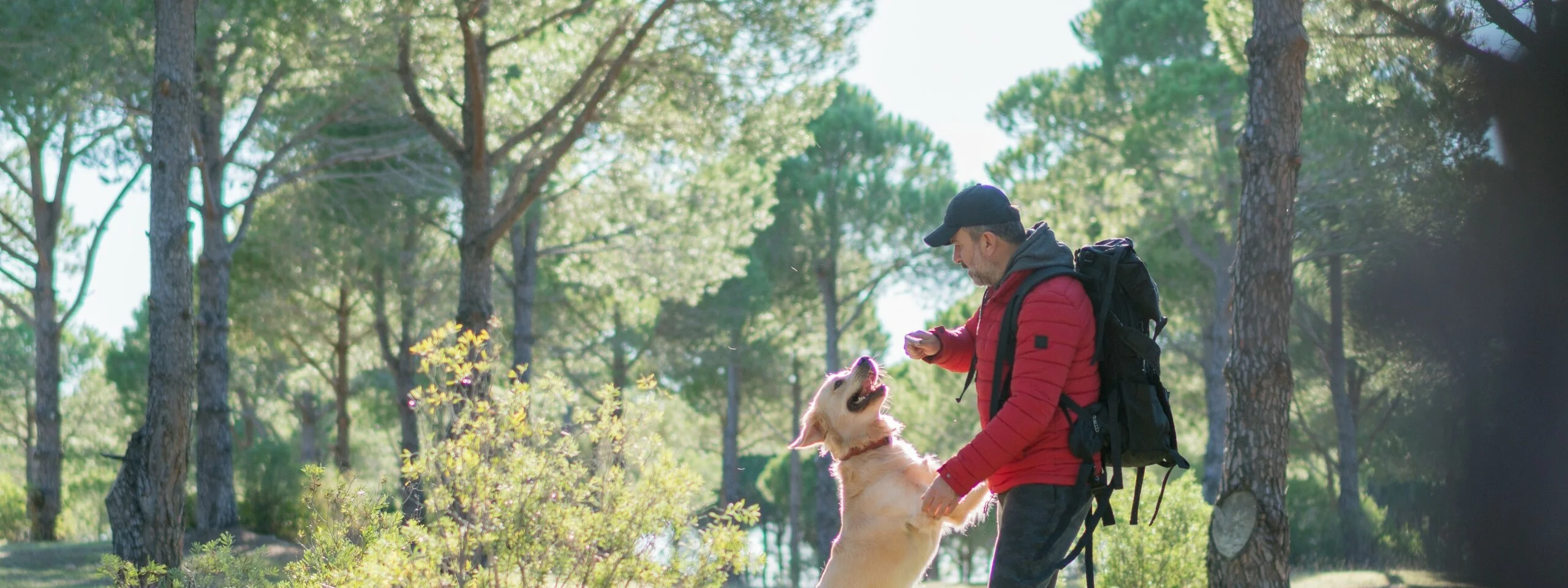 Man Trekking with the dog in forest