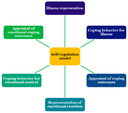 The 6 Stages of Behavior Change: A How-To Guide