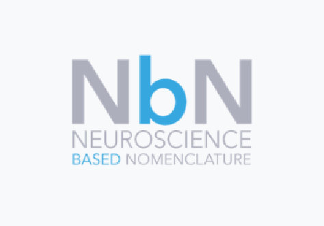 Logo - NbN Neuroscience