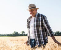 A middle-aged man walking through a wheat field on a bright sunny day